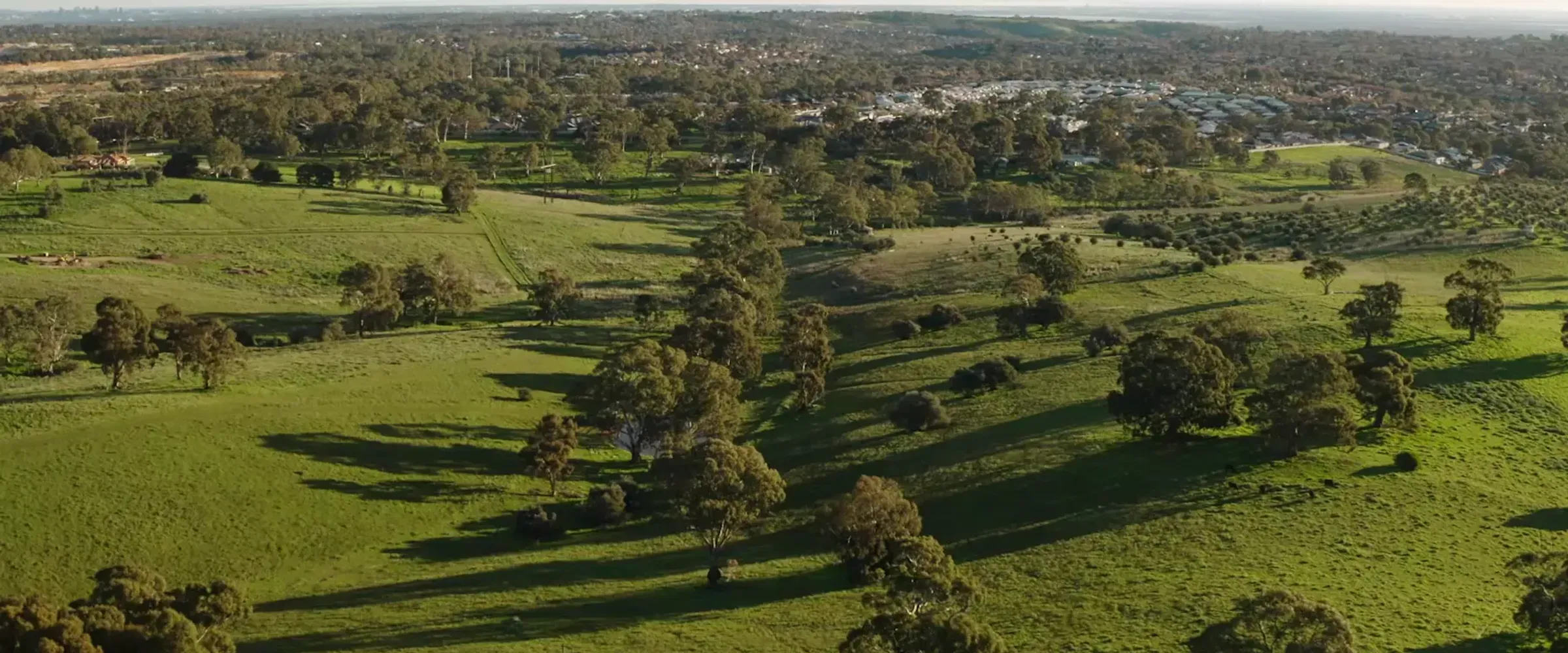 Aerial view over the green land at Amberleigh, Golden Grove