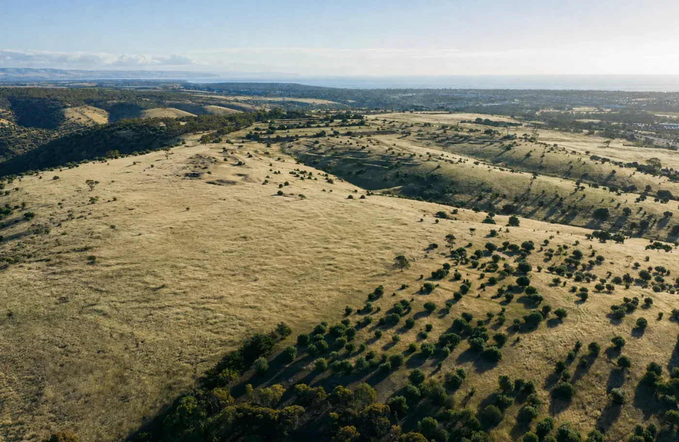 The ridge country above the Edenridge site, looking to the coast